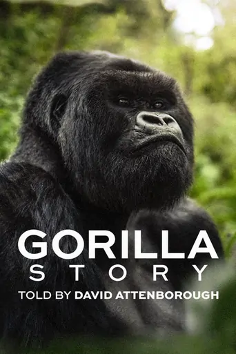 观看David Attenborough: Bir Goril Hikâyesi Film