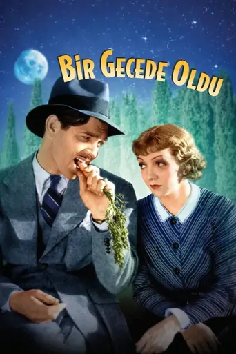 Watch Bir Gecede Oldu Film