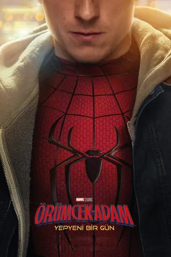 Örümcek-Adam: Yepyeni Bir Gün Film ansehen