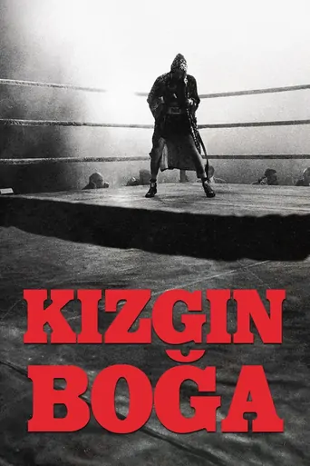 Watch Kızgın Boğa Film